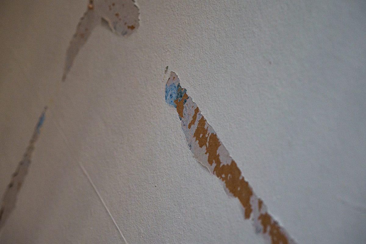 Structural Drying service in Centennial, CO